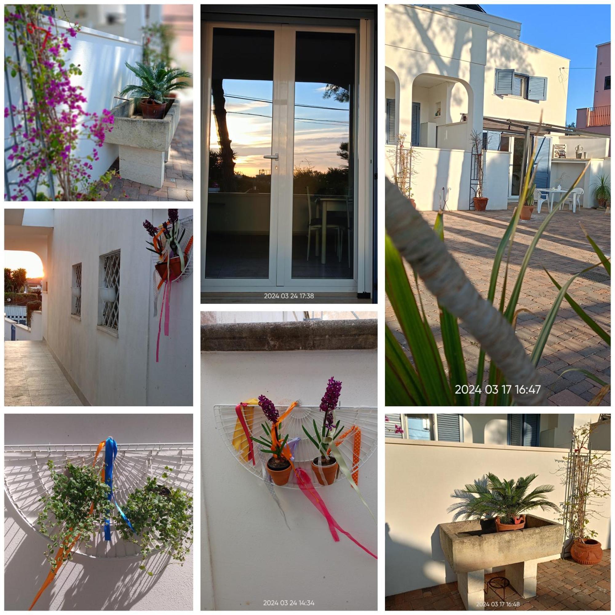 Dimora Carose Appartement Santa Maria al Bagno Buitenkant foto